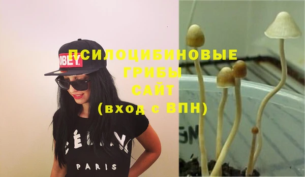 дурь Аркадак
