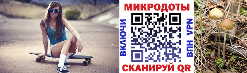 Псилоцибиновые грибы Cubensis  купить  сайты  Канск 